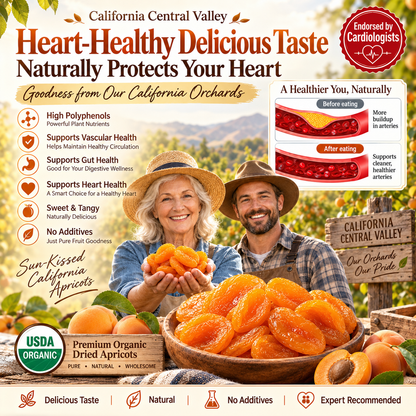 California Specialty Dried Apricots-Fay