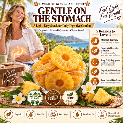 🔥 Hawaii’s Golden Dried Pineapple – 🍍A Clean Tropical Snack for Active Living-Fay