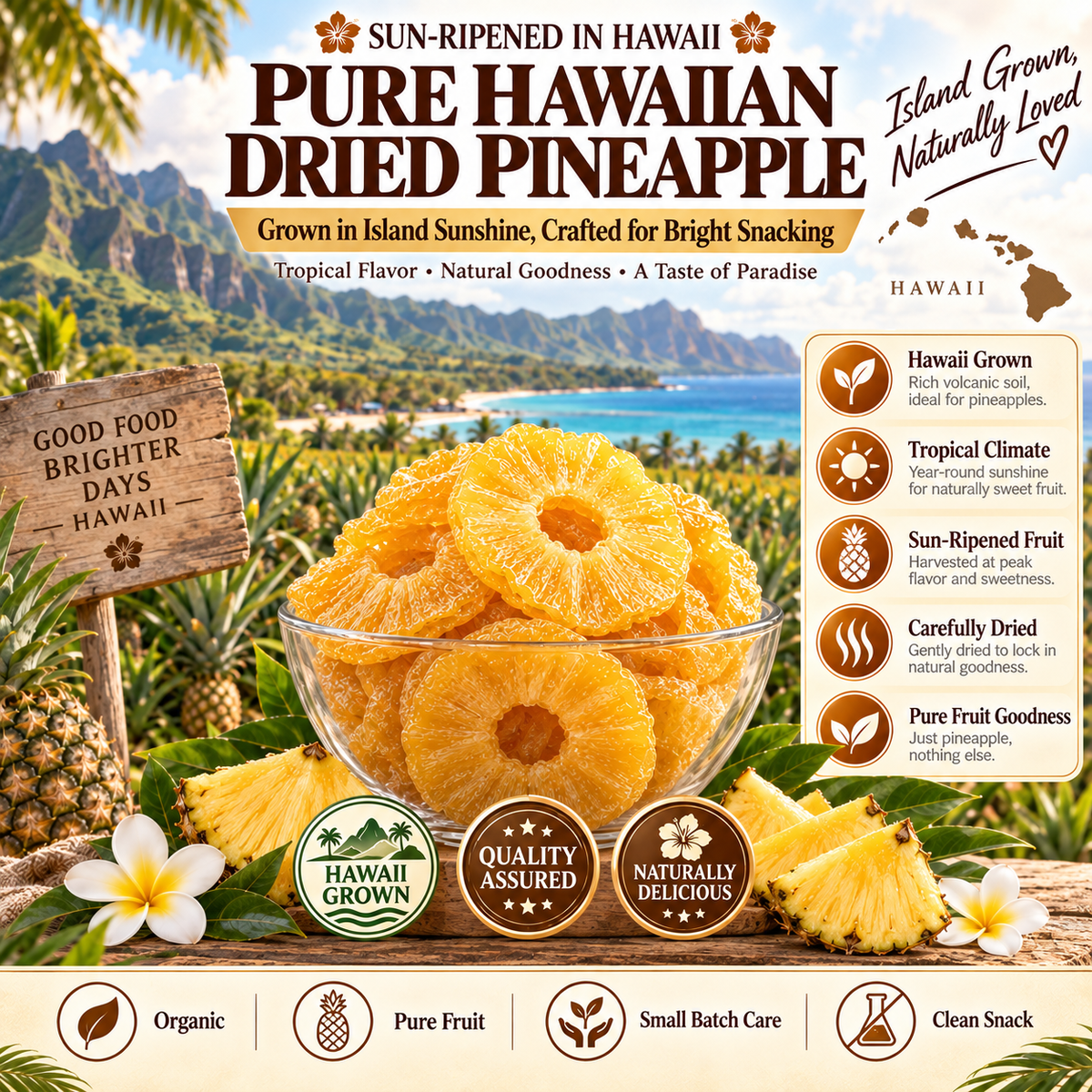 🔥 Hawaii’s Golden Dried Pineapple – 🍍A Clean Tropical Snack for Active Living-Fay